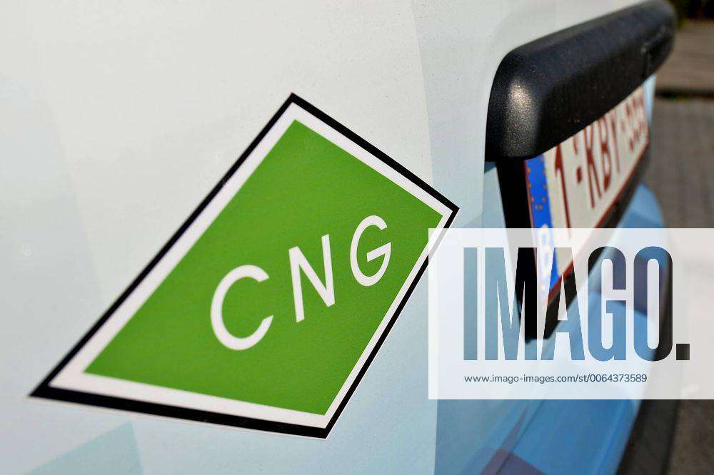 Professional, Elegant, Insurance Broker Logo Design for CNG Insurance Group  by Flower Logo™ | Design #12586441