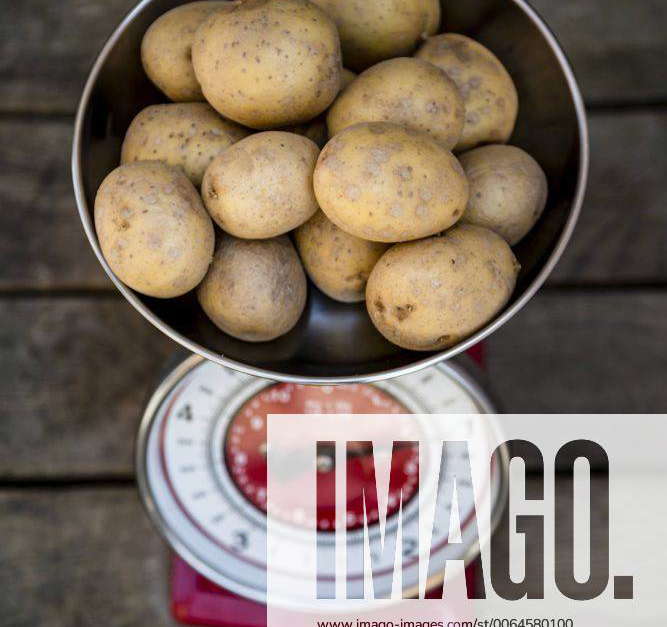 Kilogram of potatoes on a kitchen scale