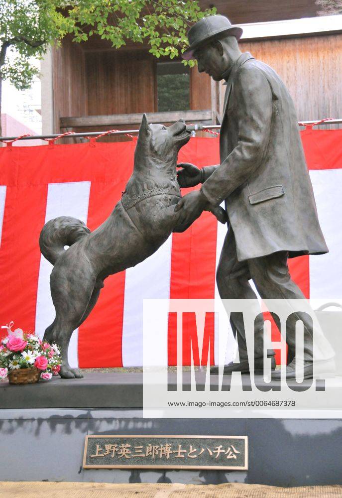 Statue of loyal dog Hachiko, his owner unveiled in Tokyo A new statue of loyal dog Hachiko bursting