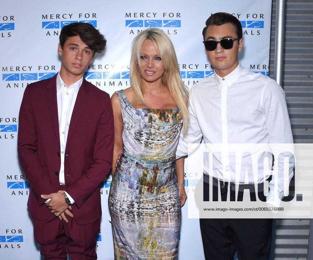 Aug. 29, 2015 - Culver City, California, U.S. - Pamela Anderson, Dylan ...