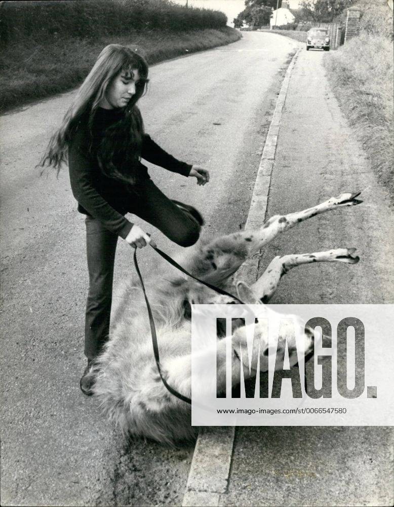 1967 - Julie rides to the village - by Llama.: Trotting along the lanes ...