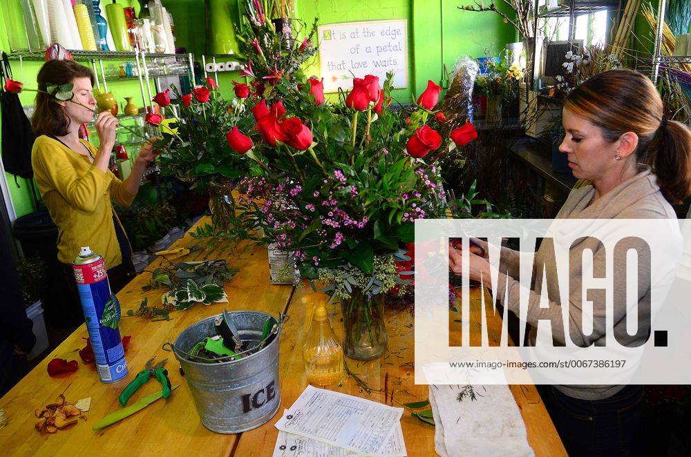 Feb. 12, 2014 Albuquerque, NEW MEXICO, U.S. 021214.The Flower Shop at Nob Hill florist Lauren