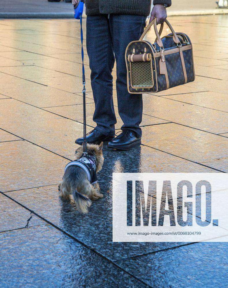 Mann mit einer Louis Vuitton Hundetasche und kleinem Hund, Yorkshire  Terrier, mit