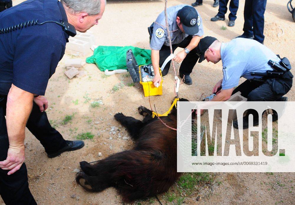 July 30, 2013 Albuquerque, NM, U.S. 073113 .An APD officer watches as New Mexico Game and Fish
