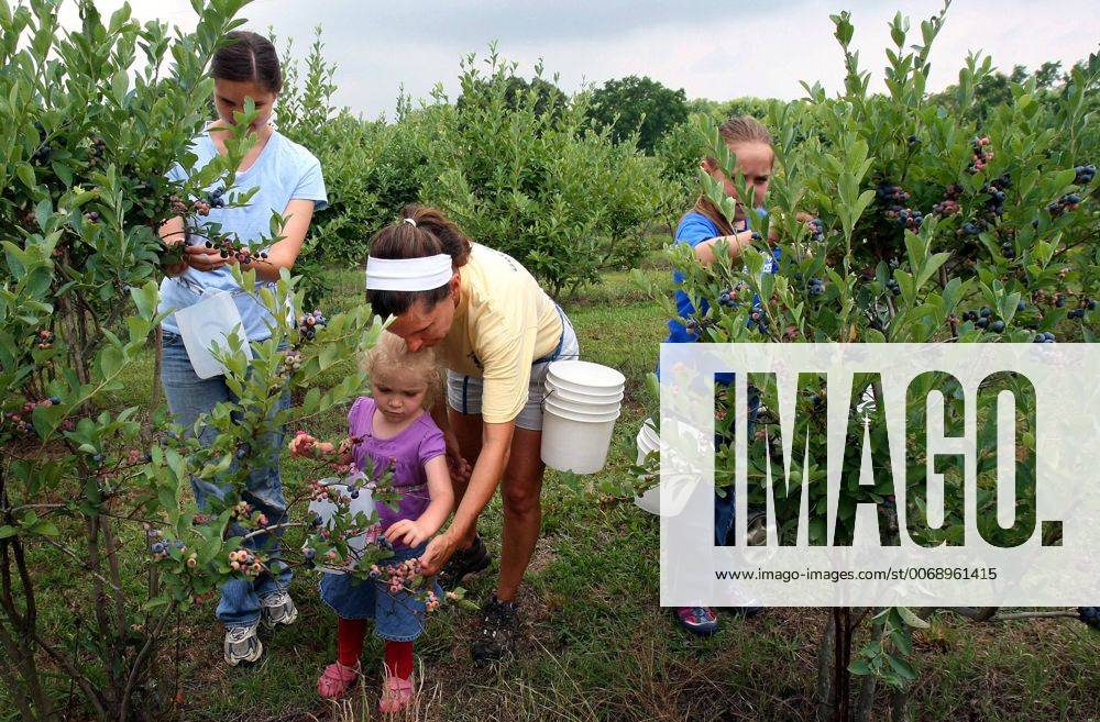 June 5, 2012 Nesbit, MS, U.S. June 5, 2012 Terri Cooper (center