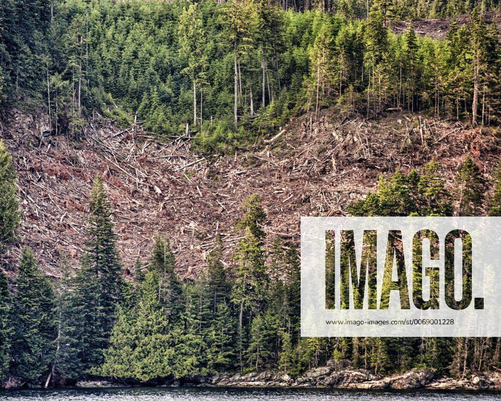 July 7, 2012 - Inner Passage, British Columbia, Canada - Clearcut ...