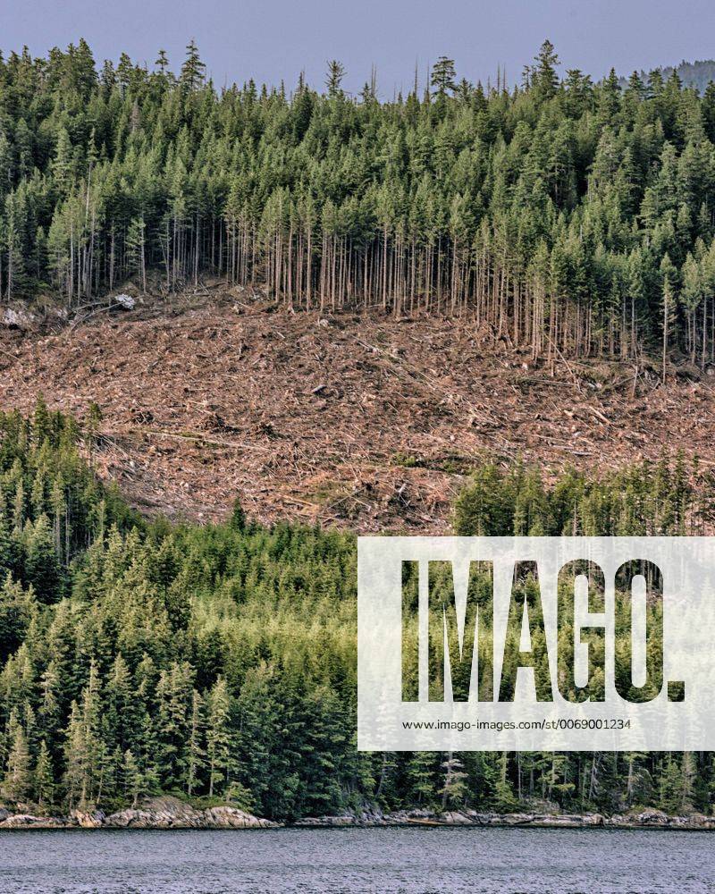 July 7, 2012 - Inner Passage, British Columbia, Canada - Clearcut ...