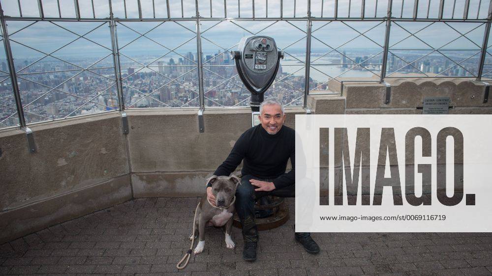 Feb. 4, 2016 New York, NY, USA CESAR MILLAN, worldrenowned dog