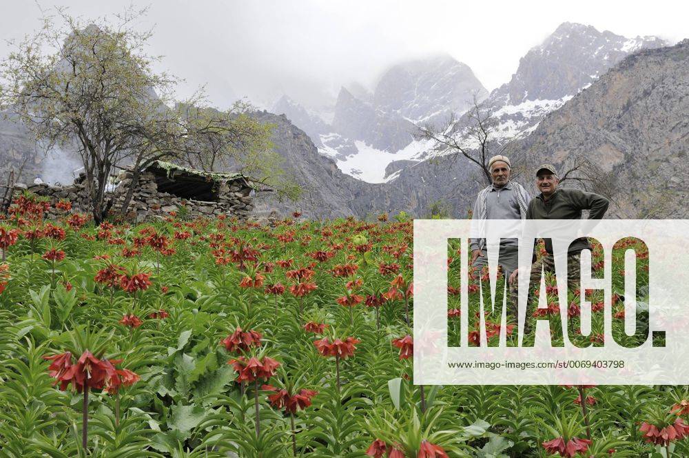 Tadjik guide with photographer Eric Dragesco in Himalayan Brown Bear ...