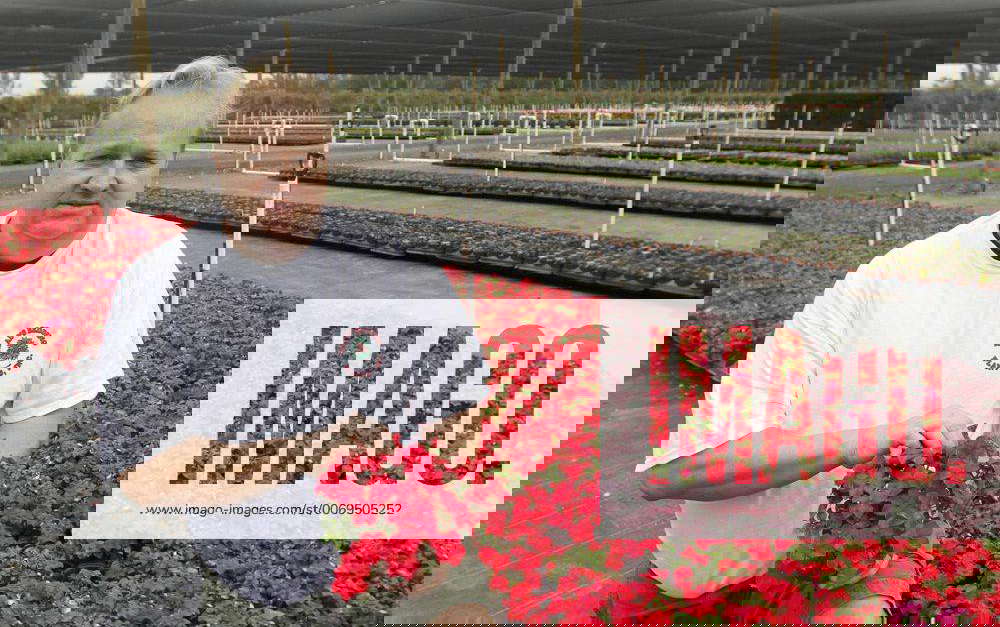 Feb. 2, 2012 Florida, U.S. Delray Beach Brad Bethurem, president