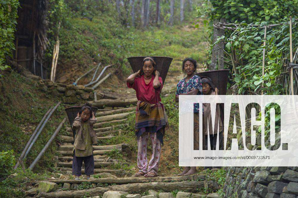 Nagaland Jangal Xxx Video - Konyak Naga woman and children carrying rice baskets. Mon district. Nagaland,  North East India