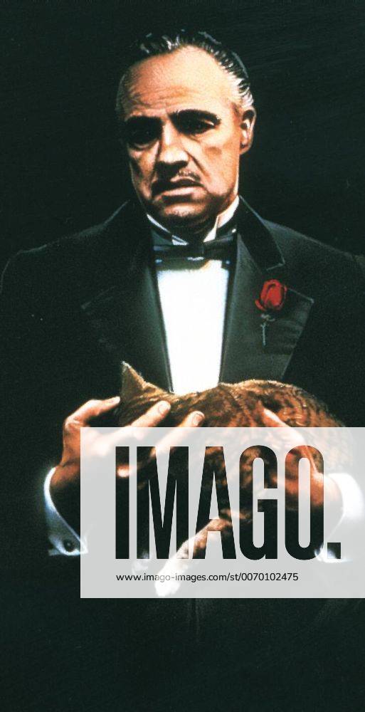 Pate, der Marlon Brando Der Pate DVDCollection