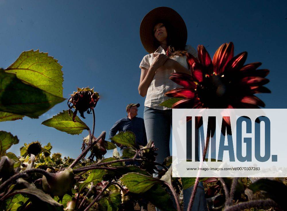Aug. 26, 2011 CA, USA Dr. Tom Heaton and his wife stand in thier