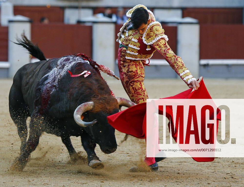 Bullfighter Saul Jimenez Fortes Fights His First Bull During The Th Festivity Of San Isidro Fair