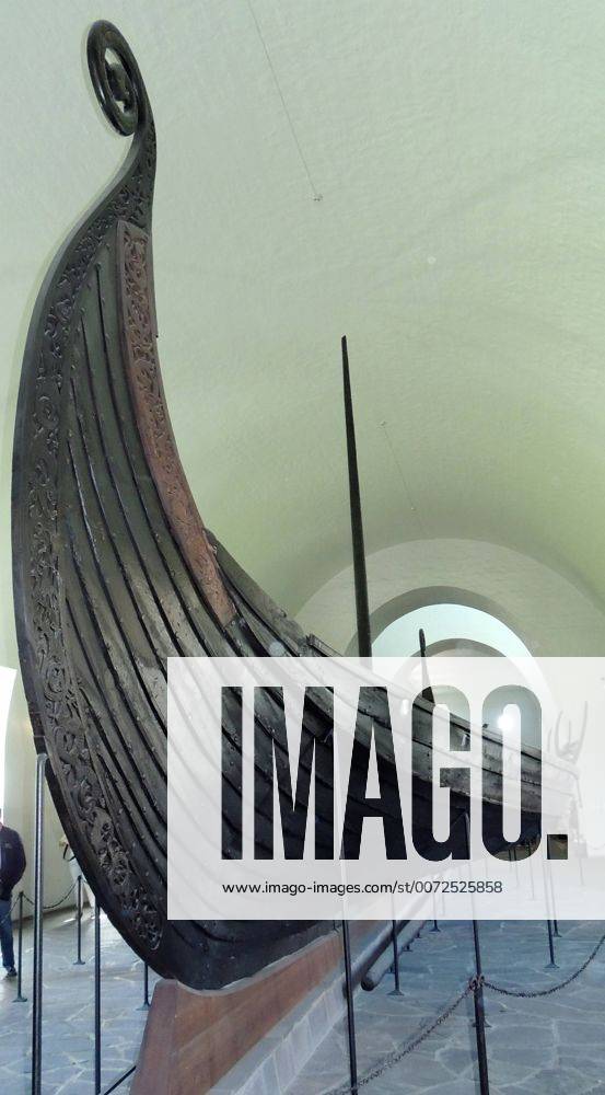 The Oseberg ship . A Viking ship discovered in a large burial mound at the Oseberg farm near