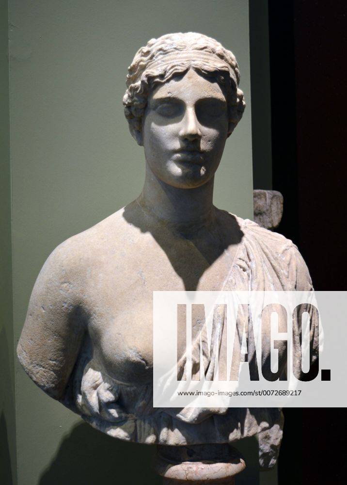 Pilaster right Marble bust of a woman, known as the Oxford Bust or