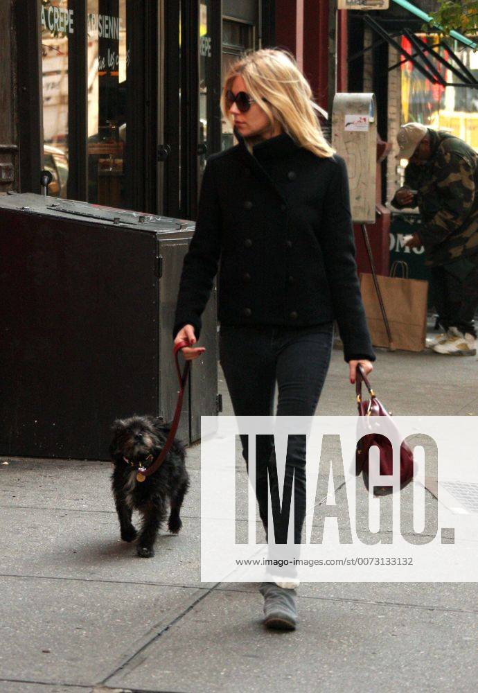 Nov. 08, 2009 - New York - Sienna Miller walking her dog ijn Soho, New