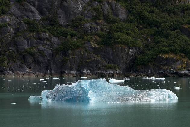 Jun 30, 2016 - Juneau, Alaska, U.S. - Harbor Seals (Phoca Vitulina) On ...