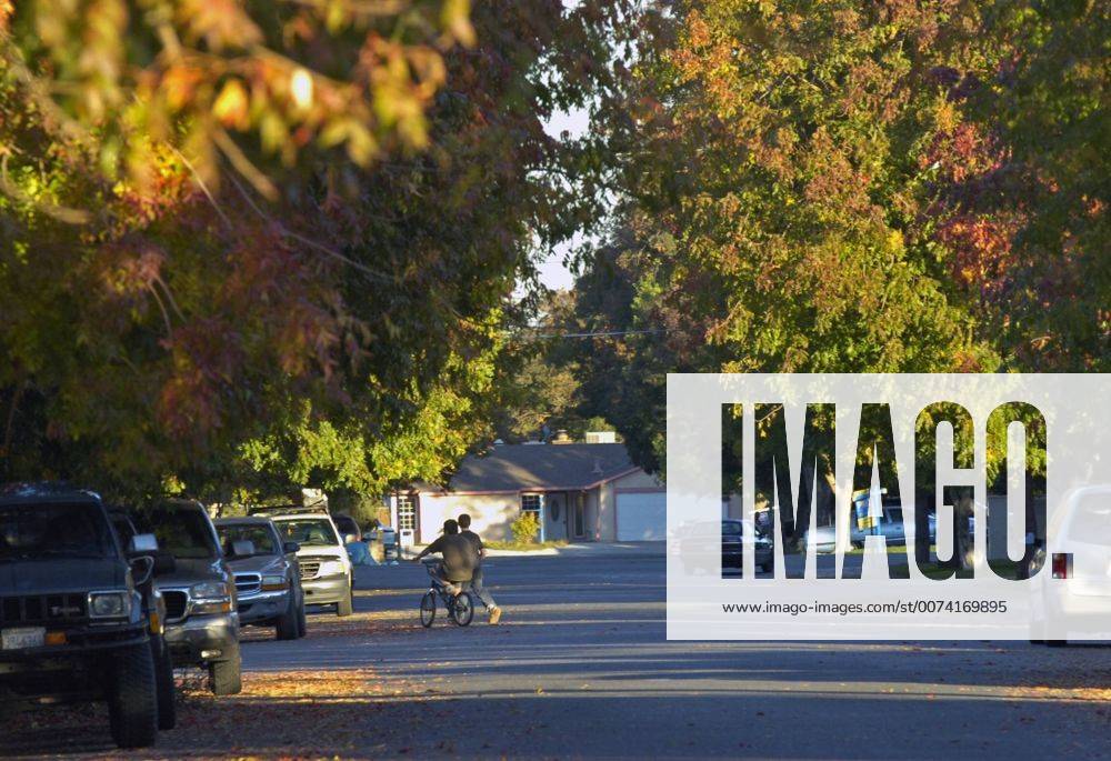 In late afternoon light, Japonica Way in east Modesto is a typical