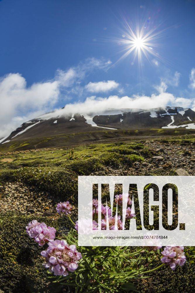 A view of the stratovolcano Snaefellsjokull, Snaefellsnes National Park ...