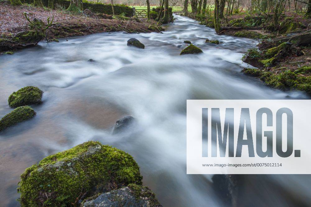 Fast flowing stream, Dartmoor, Devon, England, United Kingdom