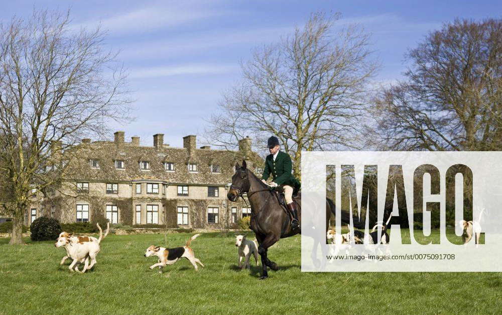 Member of Heythrop Hunt rides with hounds at traditional Hunt Meet on ...