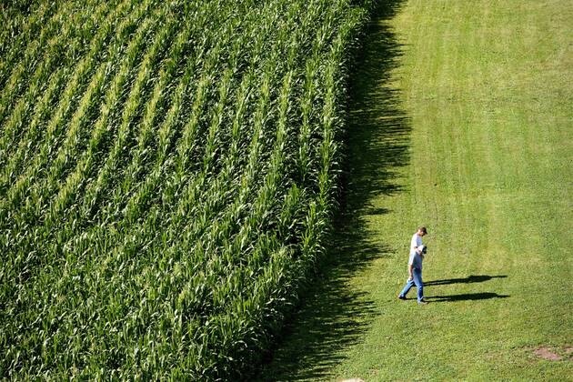 Kyle Sheaffer Dixon, Illinois, USA - KYLE SHEAFFER, 28, grows corn and soybeans with ...
