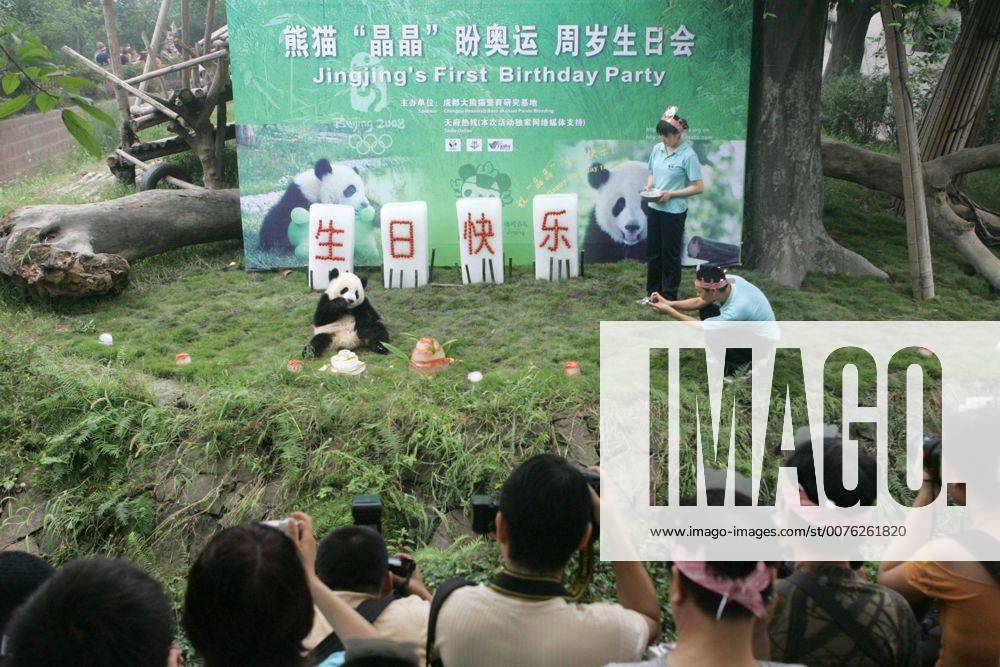 Aug 30, 2006; Chengdu, Sichuan, CHINA; People take photos as JING JING ...