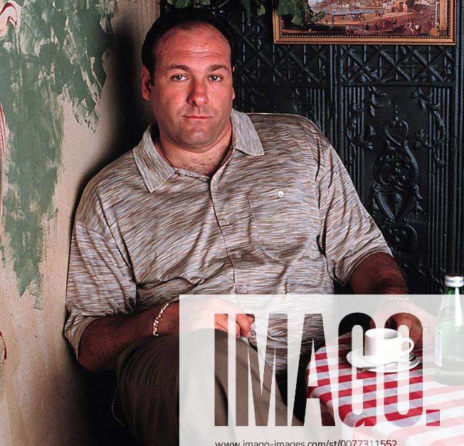 June 19, 2013 JAMES JOSEPH GANDOLFINI JR., 51, (Sept 18, 1961 June