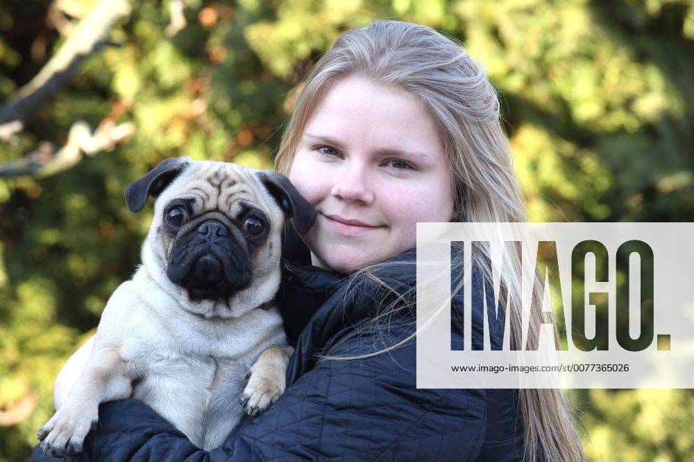 Mops (Canis lupus f. familiaris), Mops auf dem Arm eines Maedchens