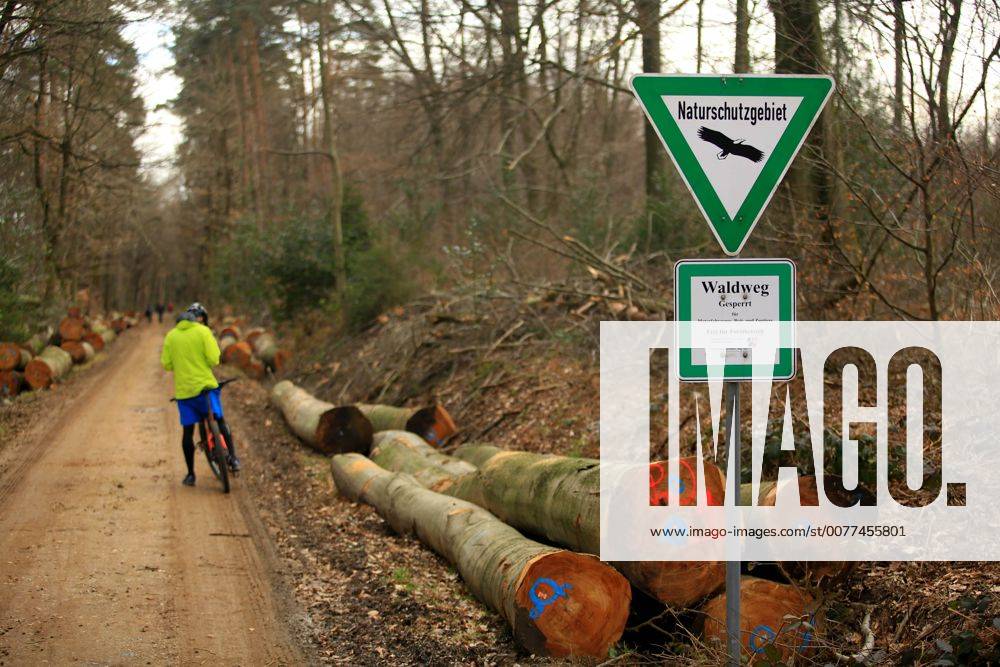 Naturschutzgebiet Königsforst. Der Königsforst ist ein 2519 Hektar