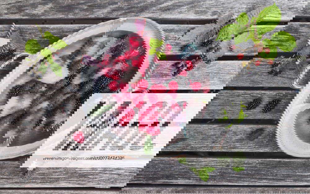 Tin plate of homemade lemonade ice lollies with raspberries and