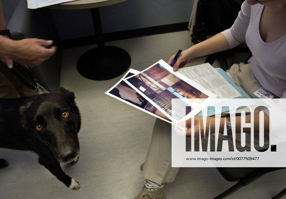 DETAIL COVER PHOTO Animal Behavior therapist Karen Lynn C. Sueda, DVM