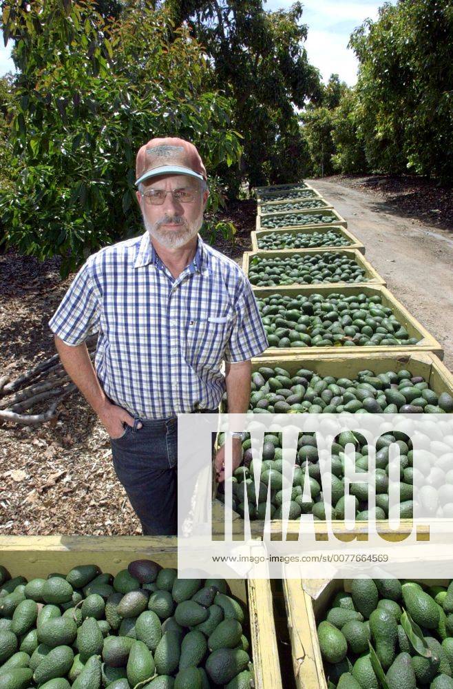 Doug Marquart SUBJECT: DOUG MARQUART. Portrait of DOUG MARQUART in his grove with ...