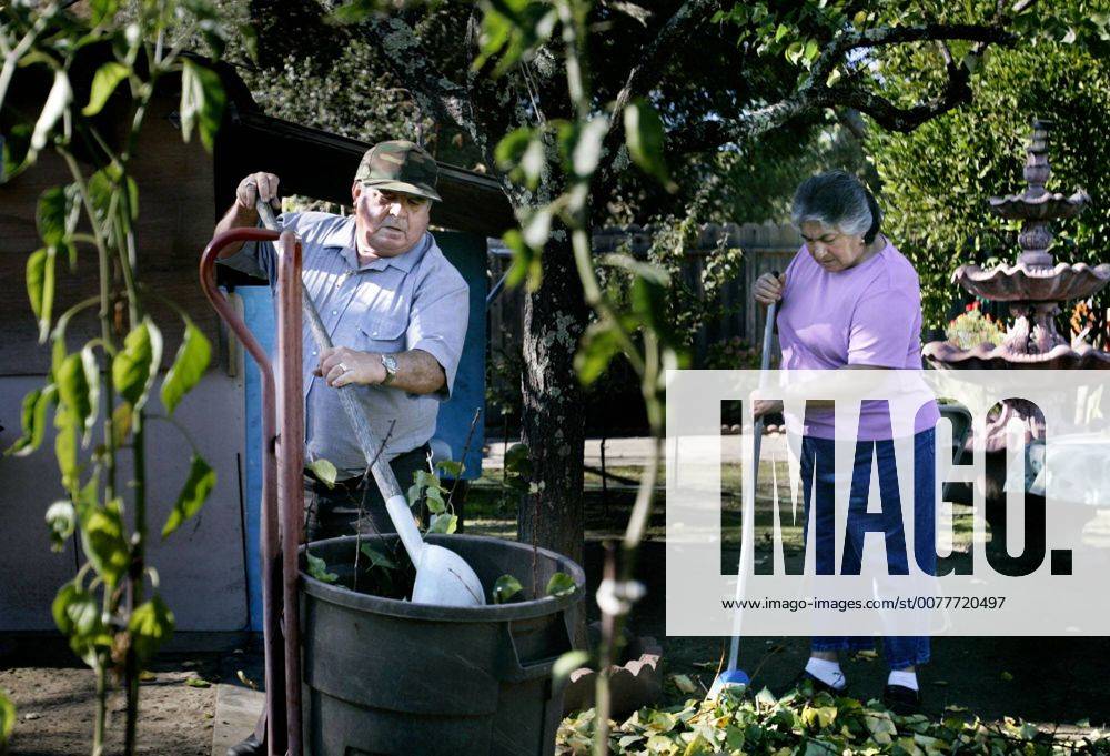 Mariea Rakes Nov. 22, 2007. Napa, CA -.Jose Luis Herrera and his wife, Maria, rake ...