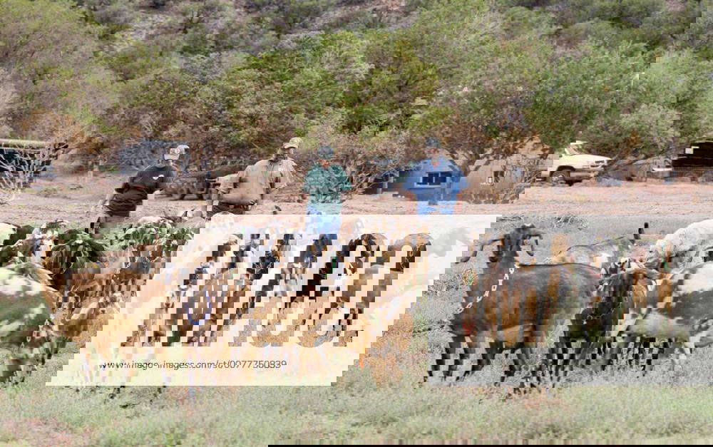 Jul 26, 2008 Snowflake, Arizona, USA Black Mesa Ranch is a 280 acre