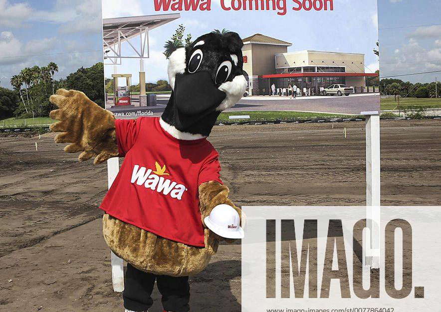 March 17, 2017 - Florida, U.S. - Wally the Wawa mascot stands in front ...