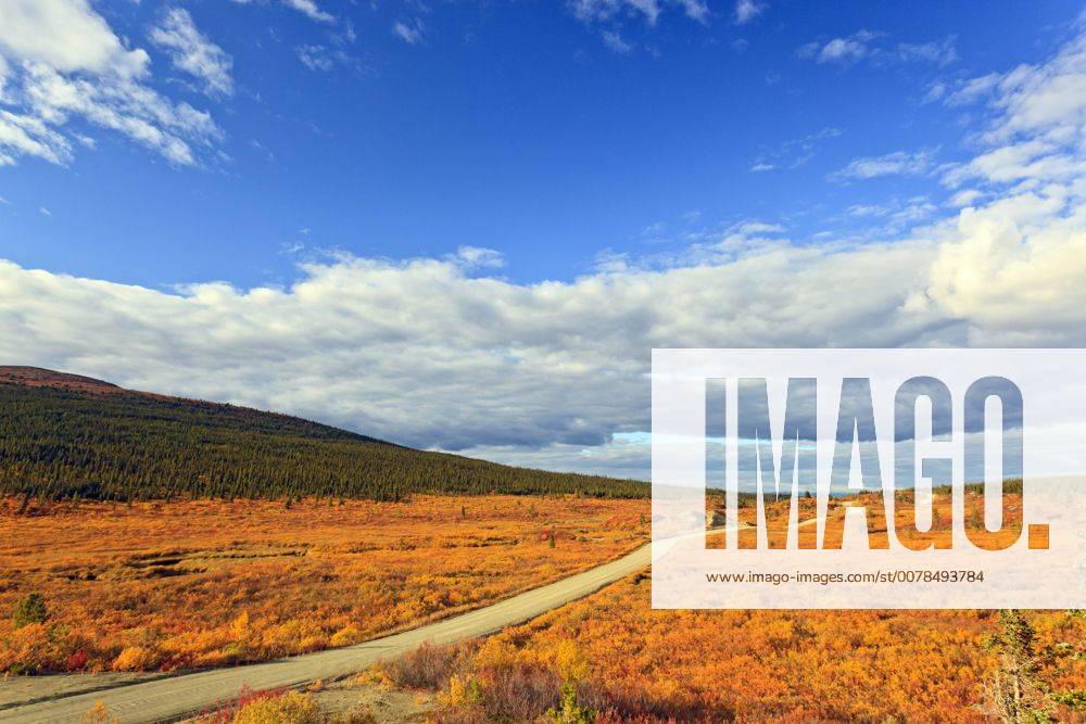 Scenery Along The South Canol Road In The Southern Yukon, Canada During 