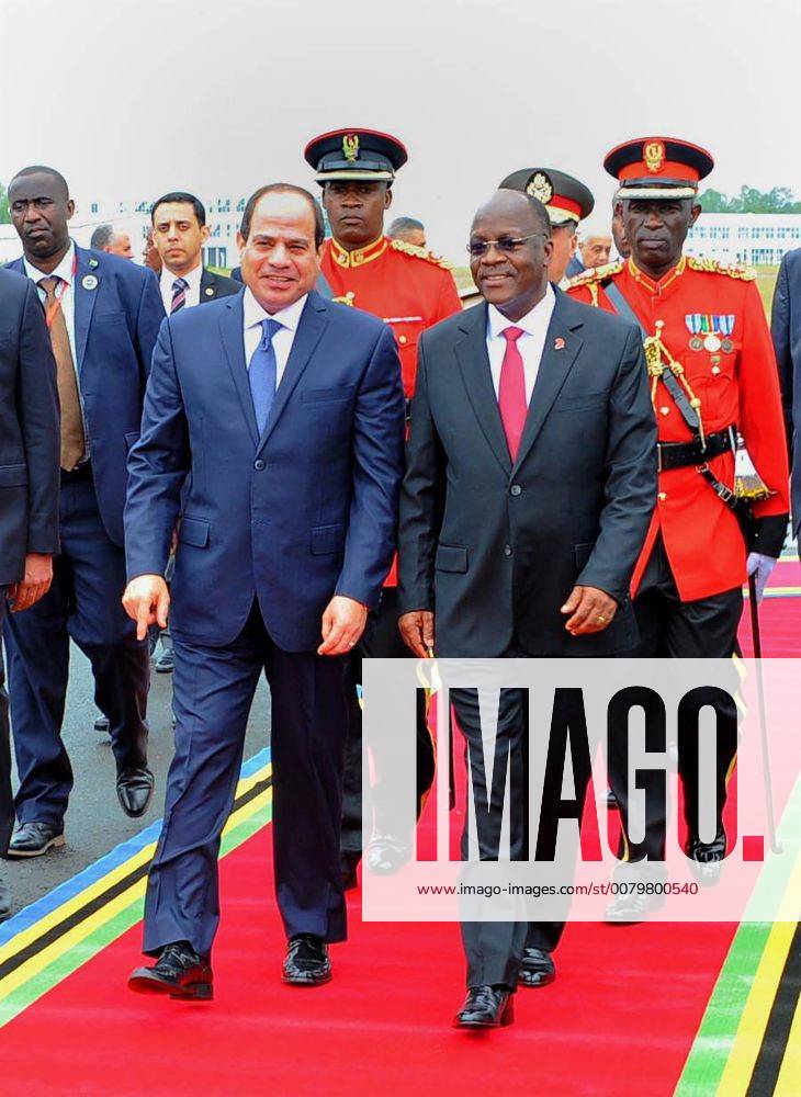 August 14 2017 Dar Es Salaam Dar Es Salaam Tanzania Egyptian President Abdel Fattah Al Sisi