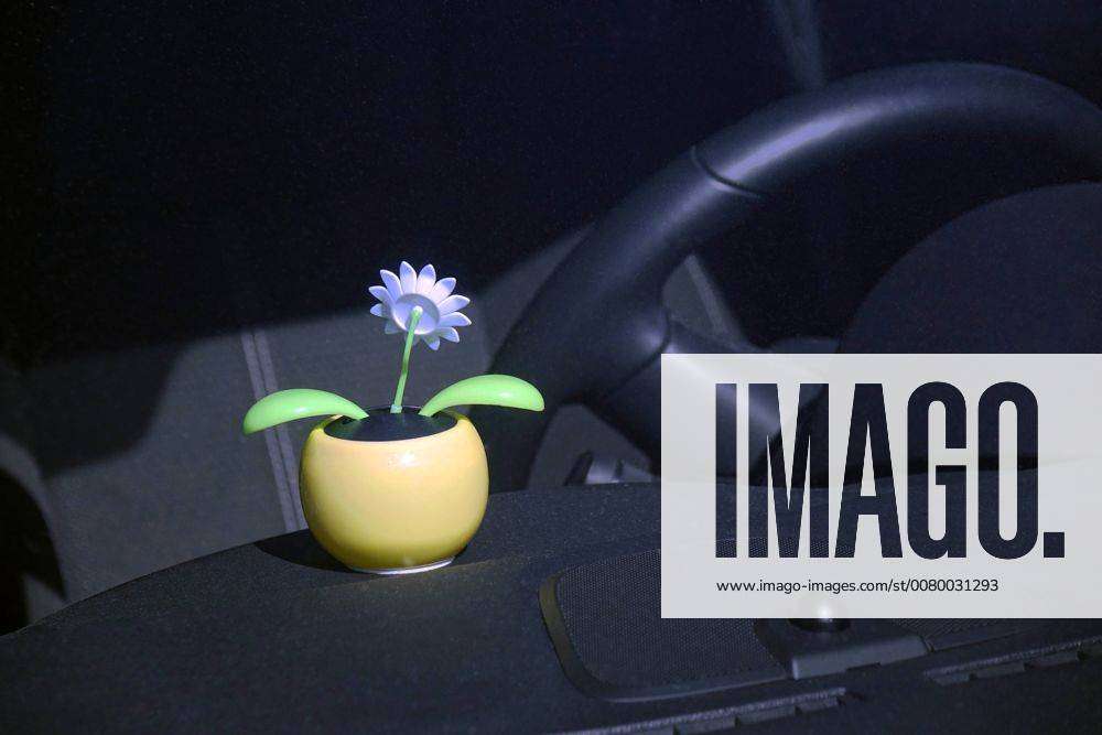 30 07 2017 in a Car Car Car Steering wheel Flower wiggle