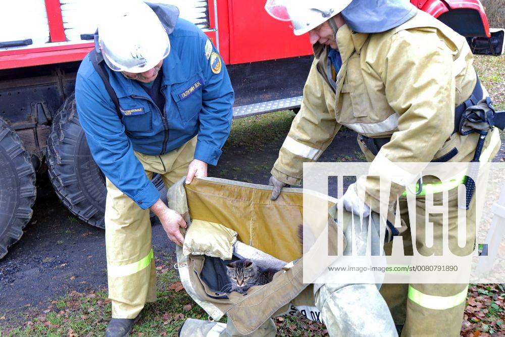 SMOLENSK REGION, RUSSIA NOVEMBER 9, 2017 A firefighter rescues a cat
