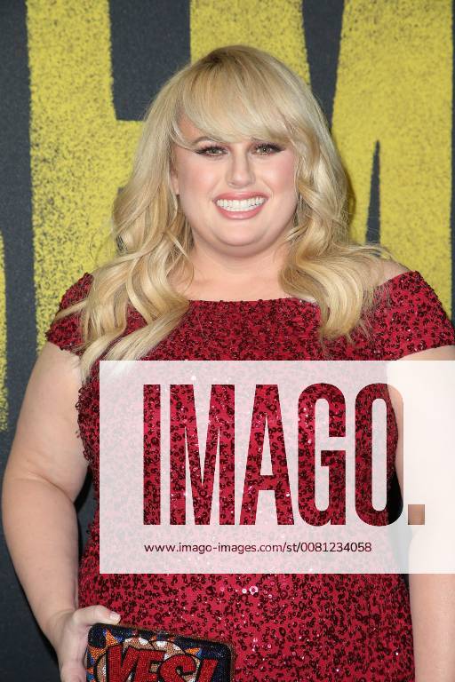 Rebel Wilson At The Pitch Perfect 3 Movie Premiere On 12 12 2017 In Los Angeles Pitch Perfect 5444