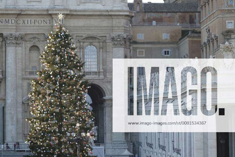 Christmas tree on the Piazza San Pietro Vatican Vaticano Vatican City