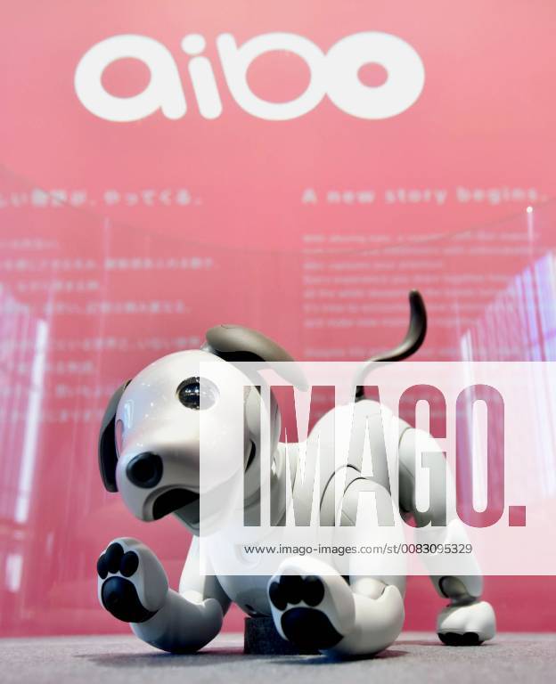 Aibo dog hot sale 2018