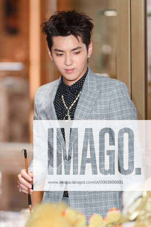 Chinese singer and actor Kris Wu or Wu Yifan attends a conference