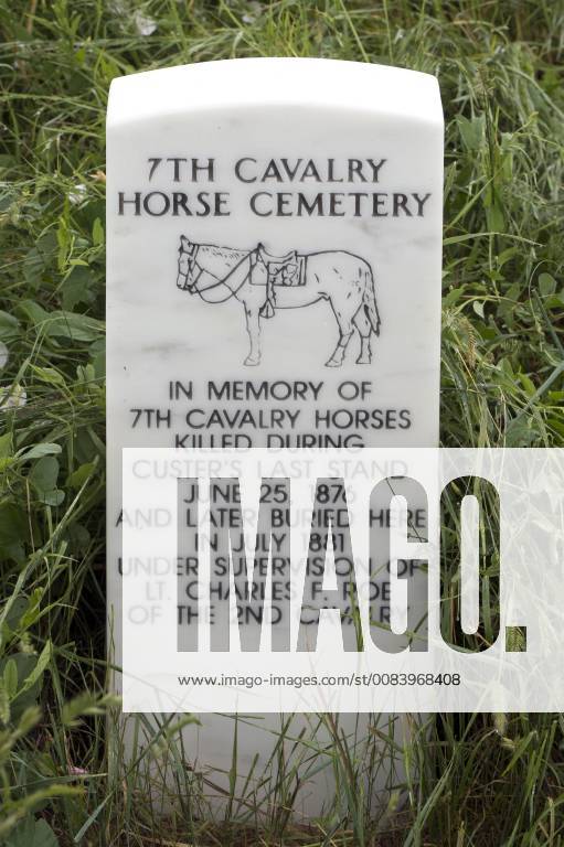 June 22, 2018 Crow Agency, Montana, U.S. The Seventh Cavalry Horse