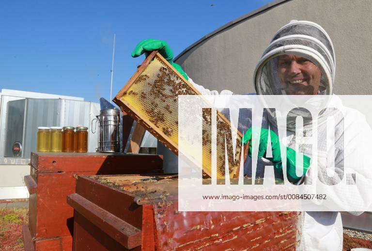 Beekeeper David Tews with his beehives on the roof of the Thier Gallery ...