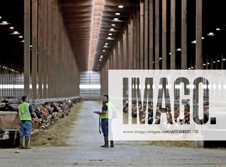 July 26, 2018 Murdock, MN, US Louriston Dairy, build and operated
