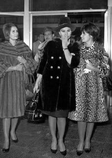 Coupures De Presse / Photos Vintage De Sophia Loren - Lot Occasion