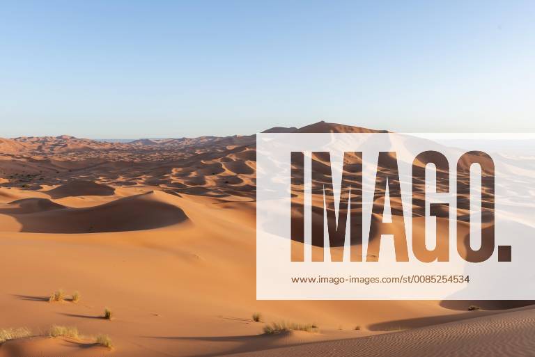 Red sand dunes in the desert Dune landscape Erg Chebbi Merzouga Sahara ...